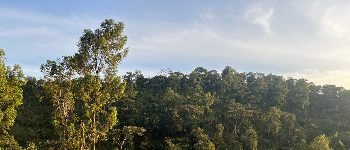 Image of Ethiopia Abebe Cherfo