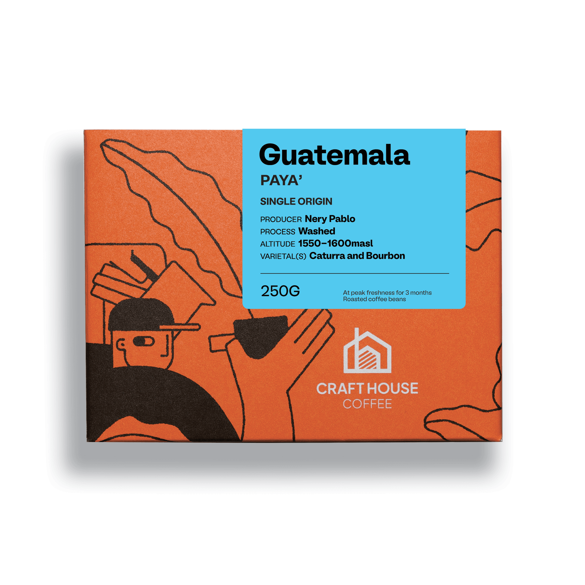 Image of Guatemala Paya