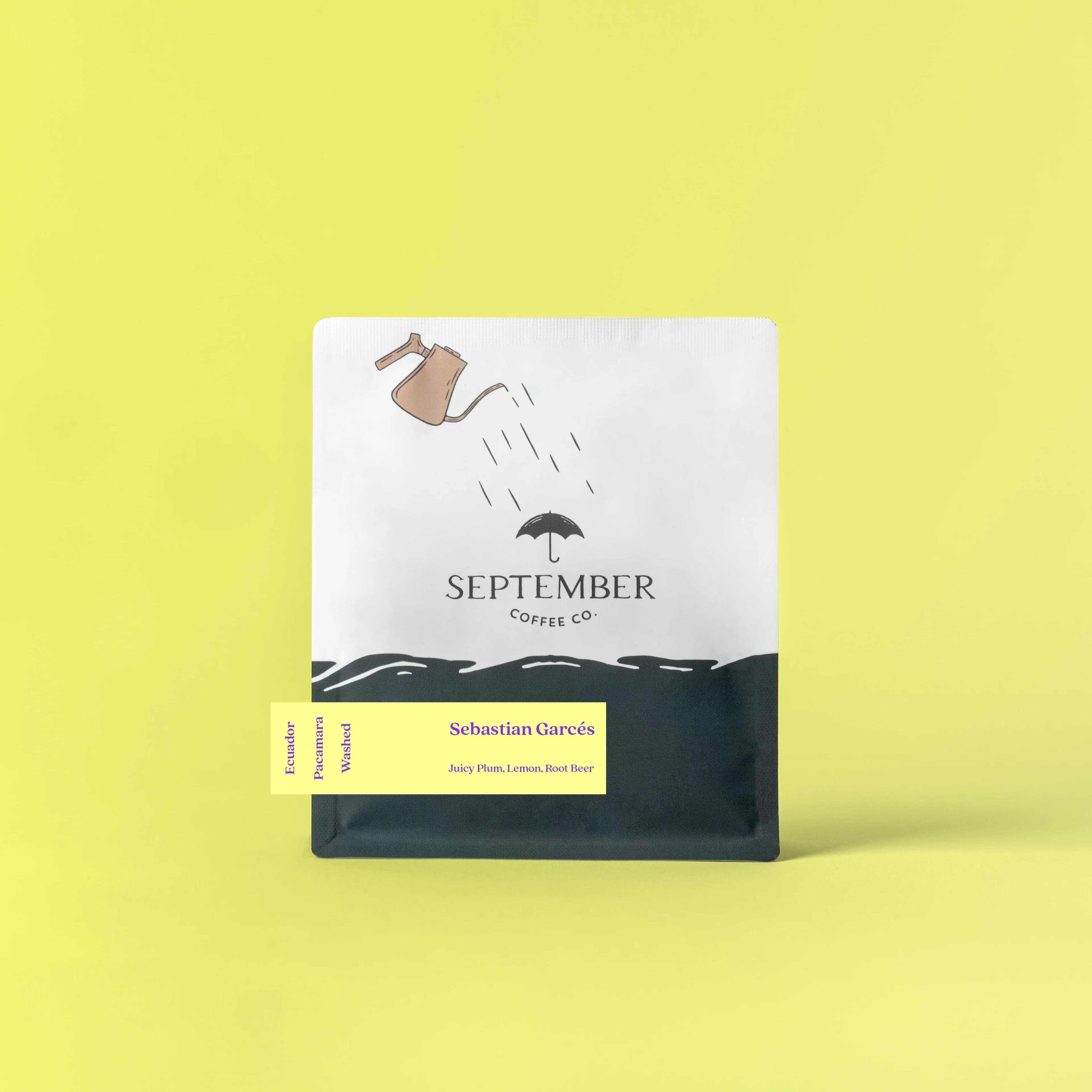 Image of Sebastian Garces - Ecuador Pacamara 2025