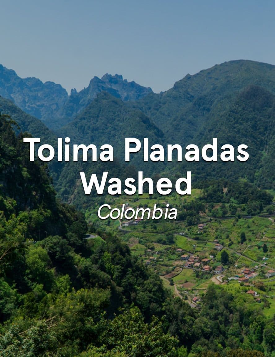 Image of Colombia Tolima Planadas Washed