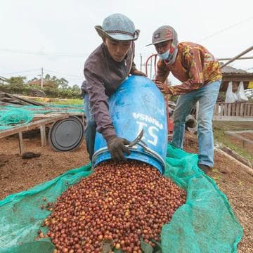 Image of Indonesia Frinsa Sarapan#2