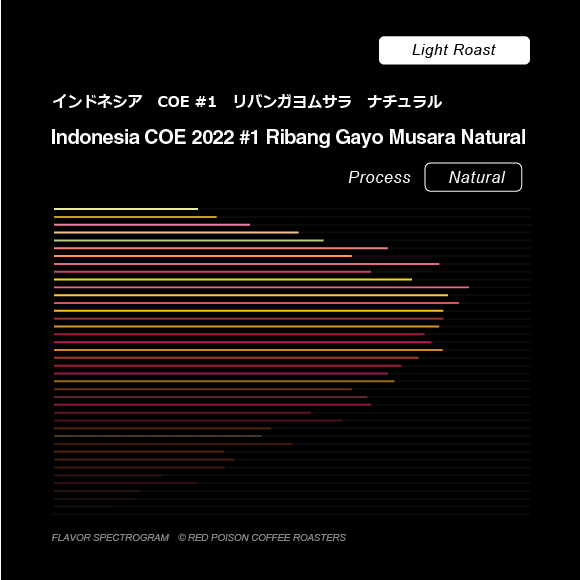 Image of Indonesia COE 2022 1 Ribang Gayo Musara Natural