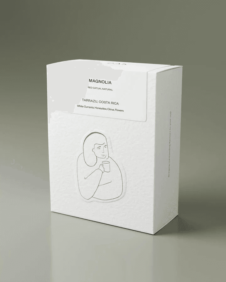 Image of DAK - Magnolia - Costa Rica