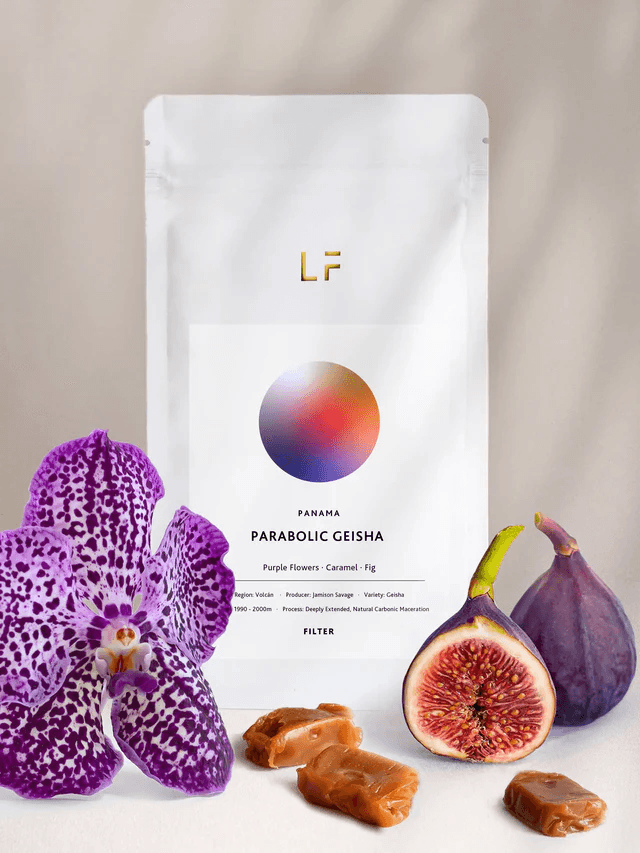 Image of Parabolic Geisha - Jamison Savage