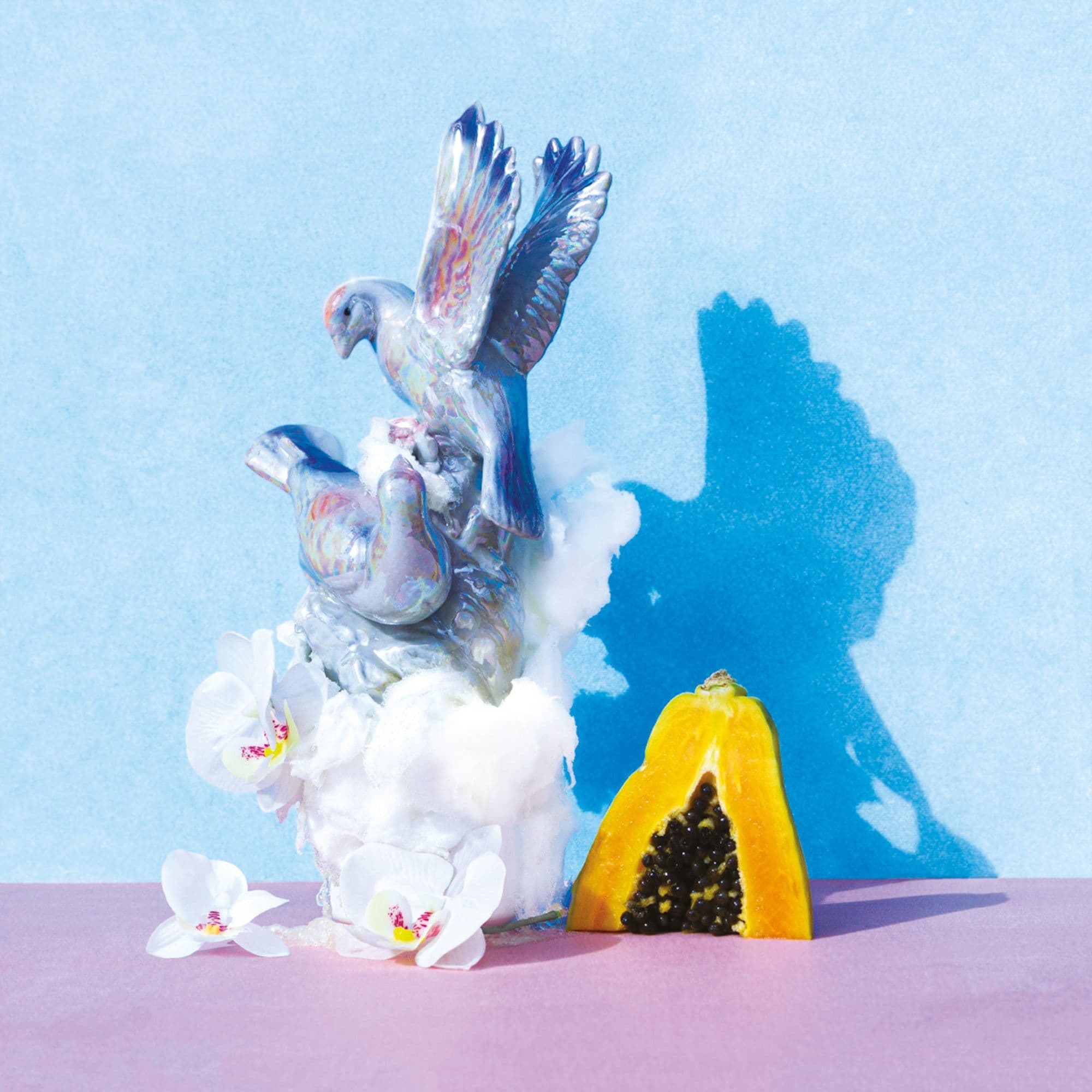 Image of Montero Family Washed Geisha Costa Rica Tarrazu