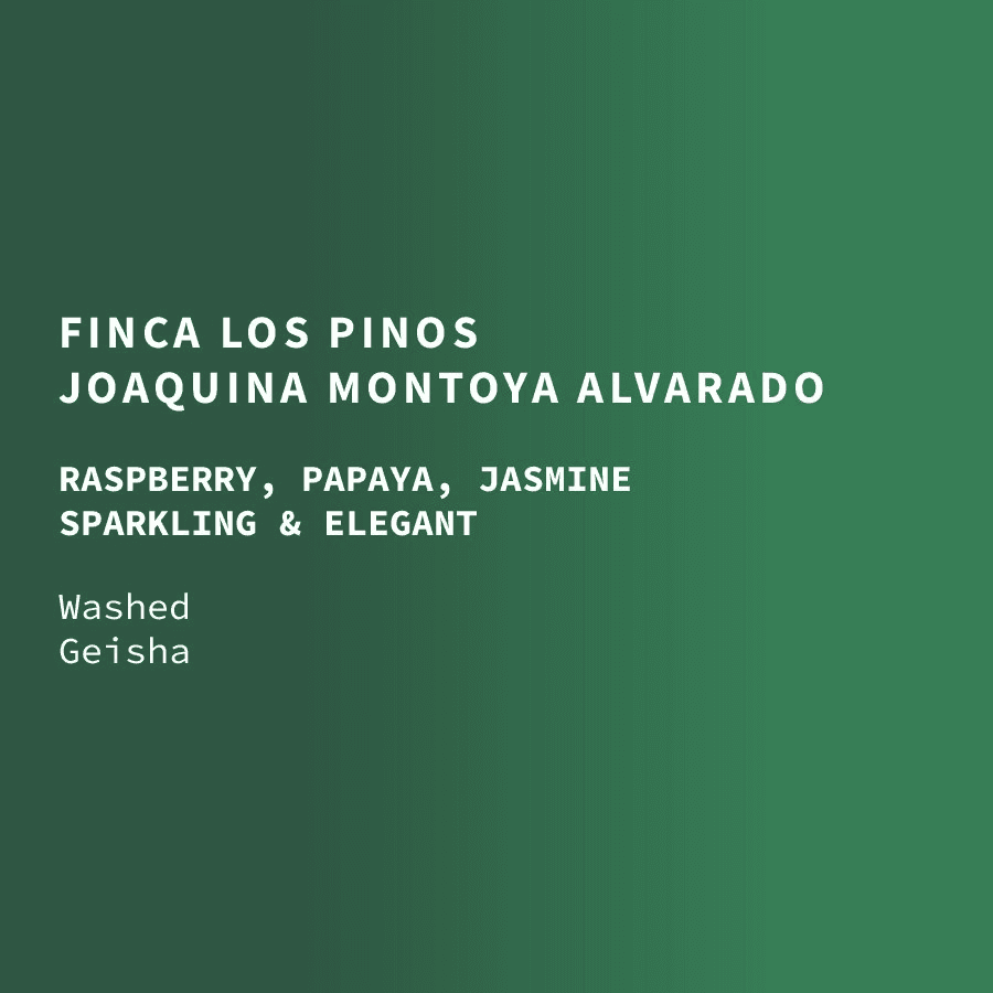 Image of Honduras Cup of Excellence 3