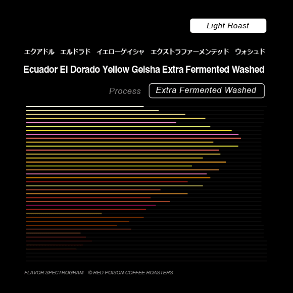 Image of Ecuador El Dorado Yellow Geisha Extra Fermented Washed Light Roast