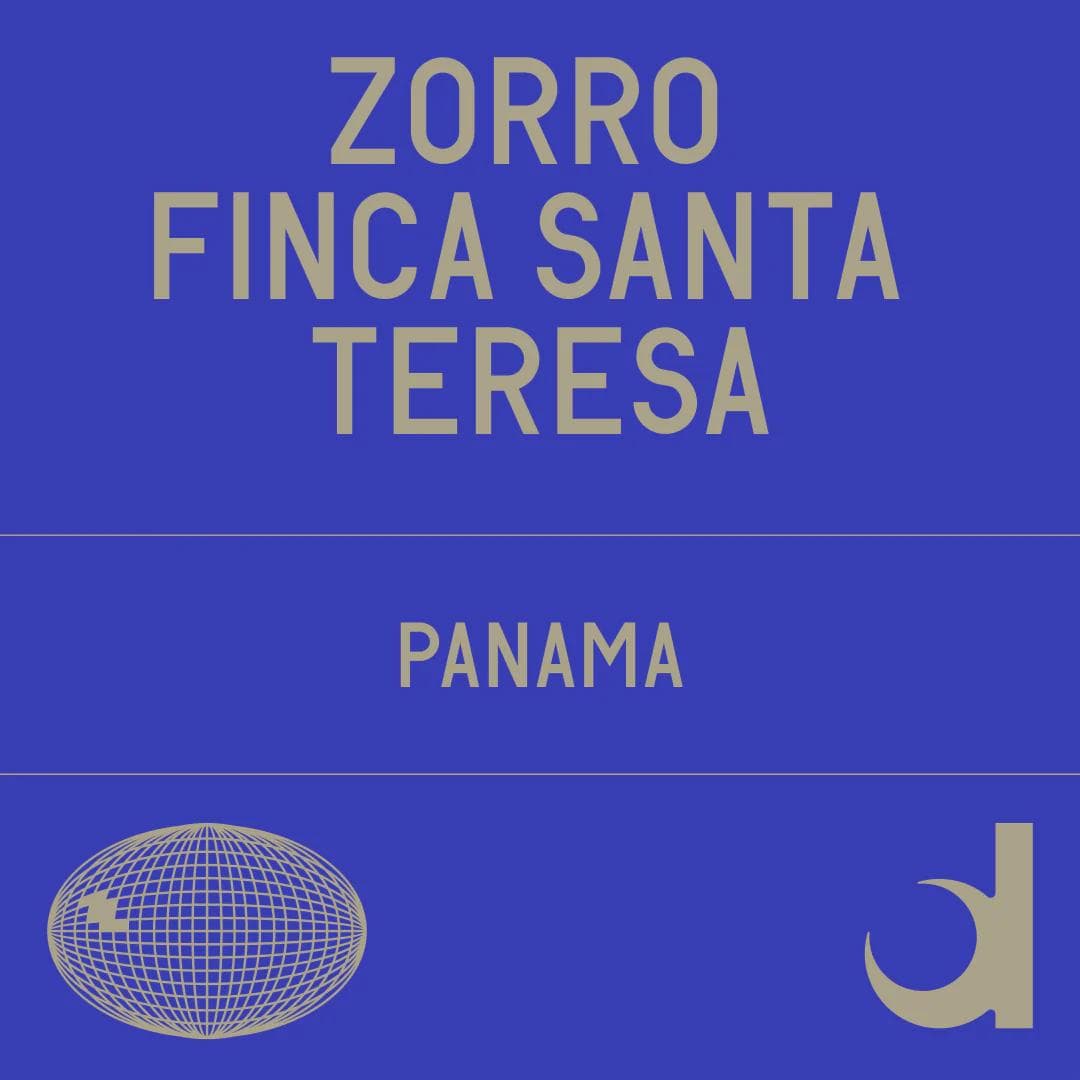 Image of FST Zorro Gesha Washed