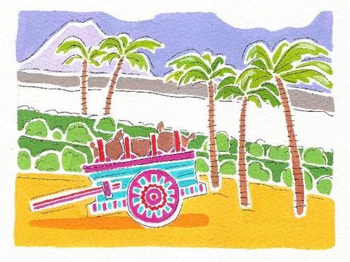 Image of Costa Rica Tarrazu Hermosa