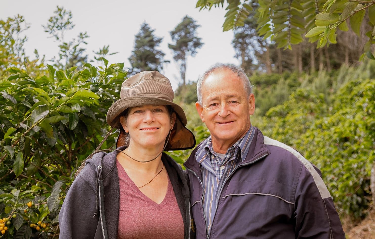 Image of Finca El Cedral