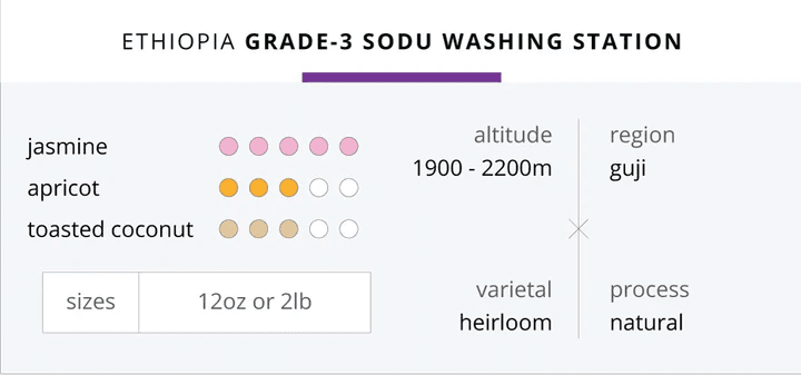 Image of Ethiopia G3 Sodu Washing Station