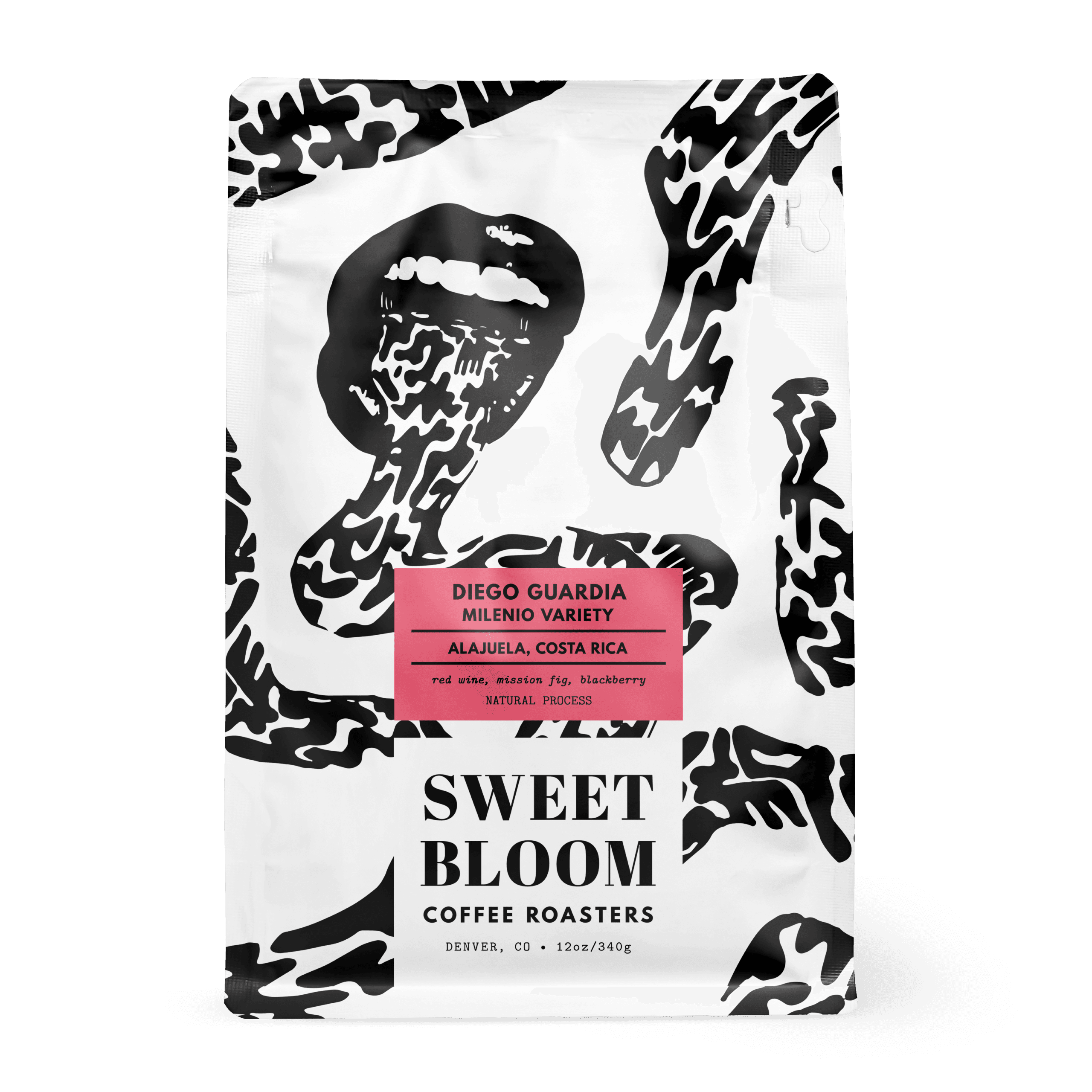 Image of Diego Guardia