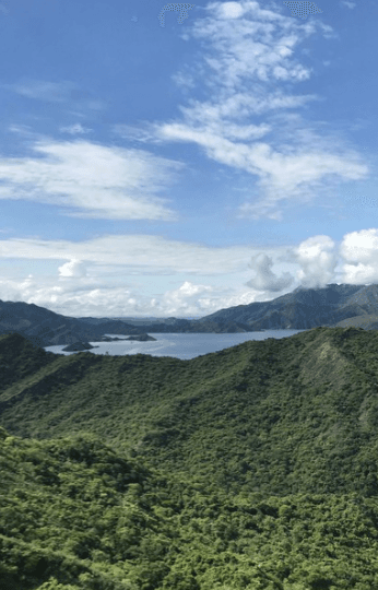 Image of Colombia - Juan Camilo - Camionetta Anoxic Natural Sugarcane Decaf