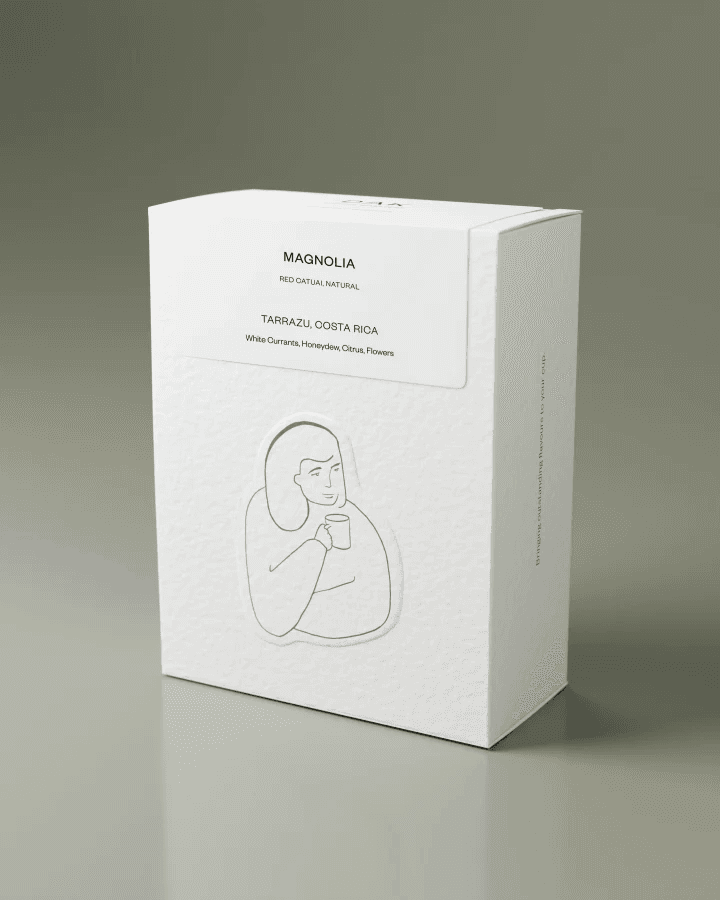 Image of Magnolia - Costa Rica