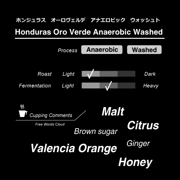 Image of Honduras Oro Verde Anaerobic Washed