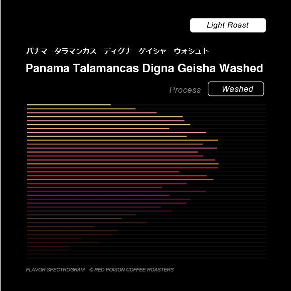 Image of Talamancas Digna Geisha Washed