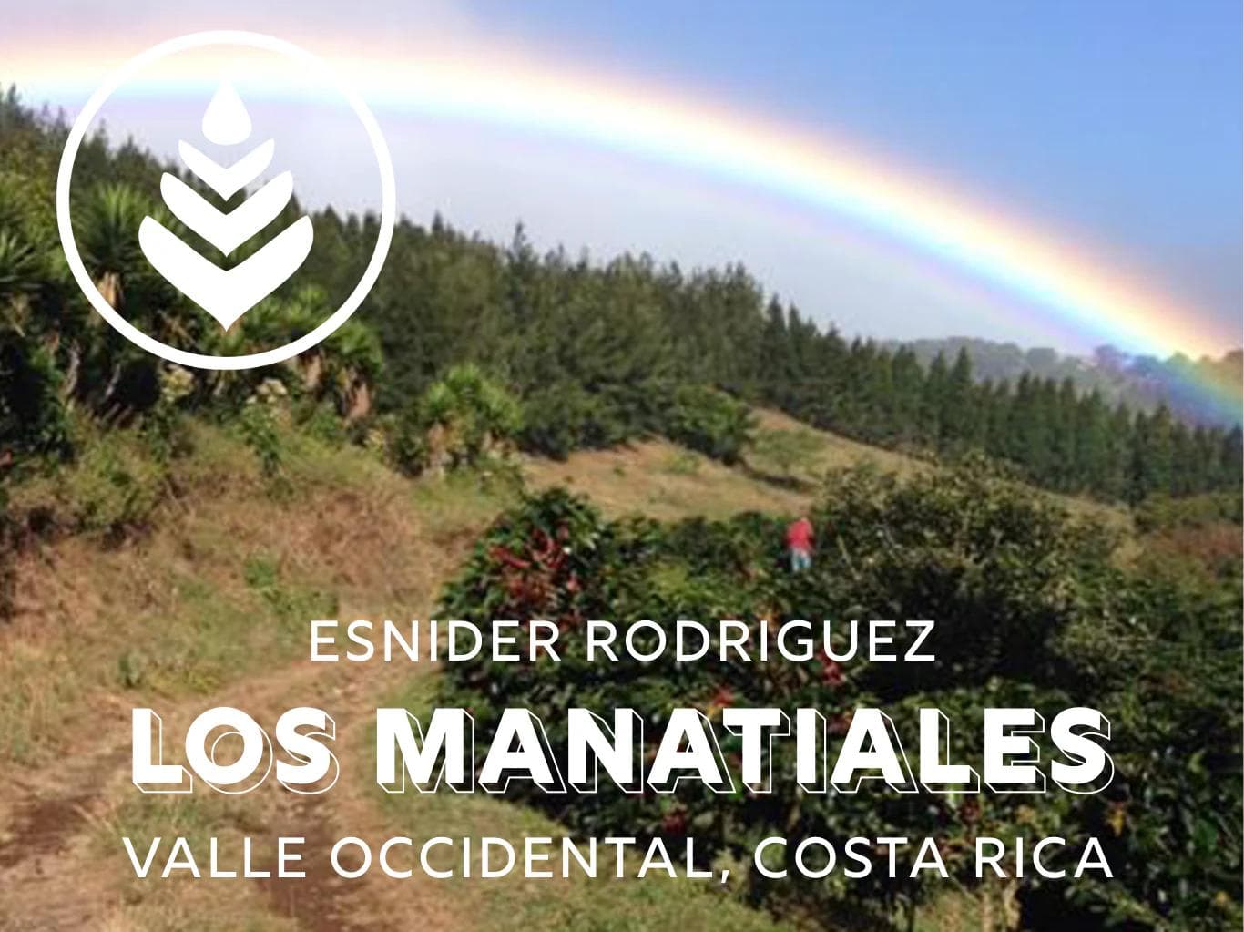 Image of Los Manatiales