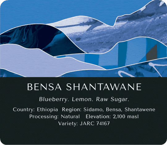 Image of Bensa Shantawane Natural - Ethiopia