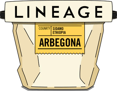 Image of Ethiopia Arbegona