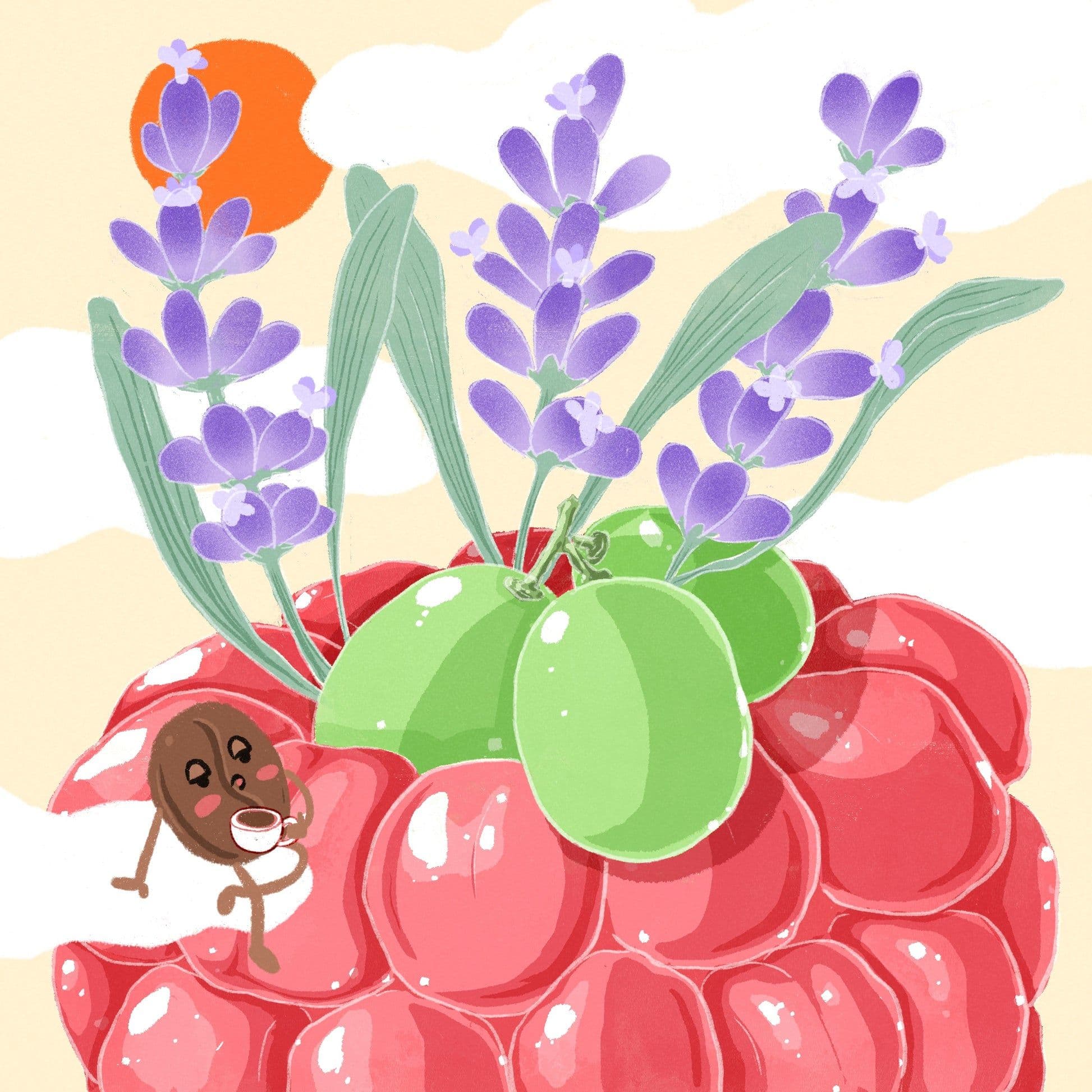 Image of Gesha Echo Finca Deborah