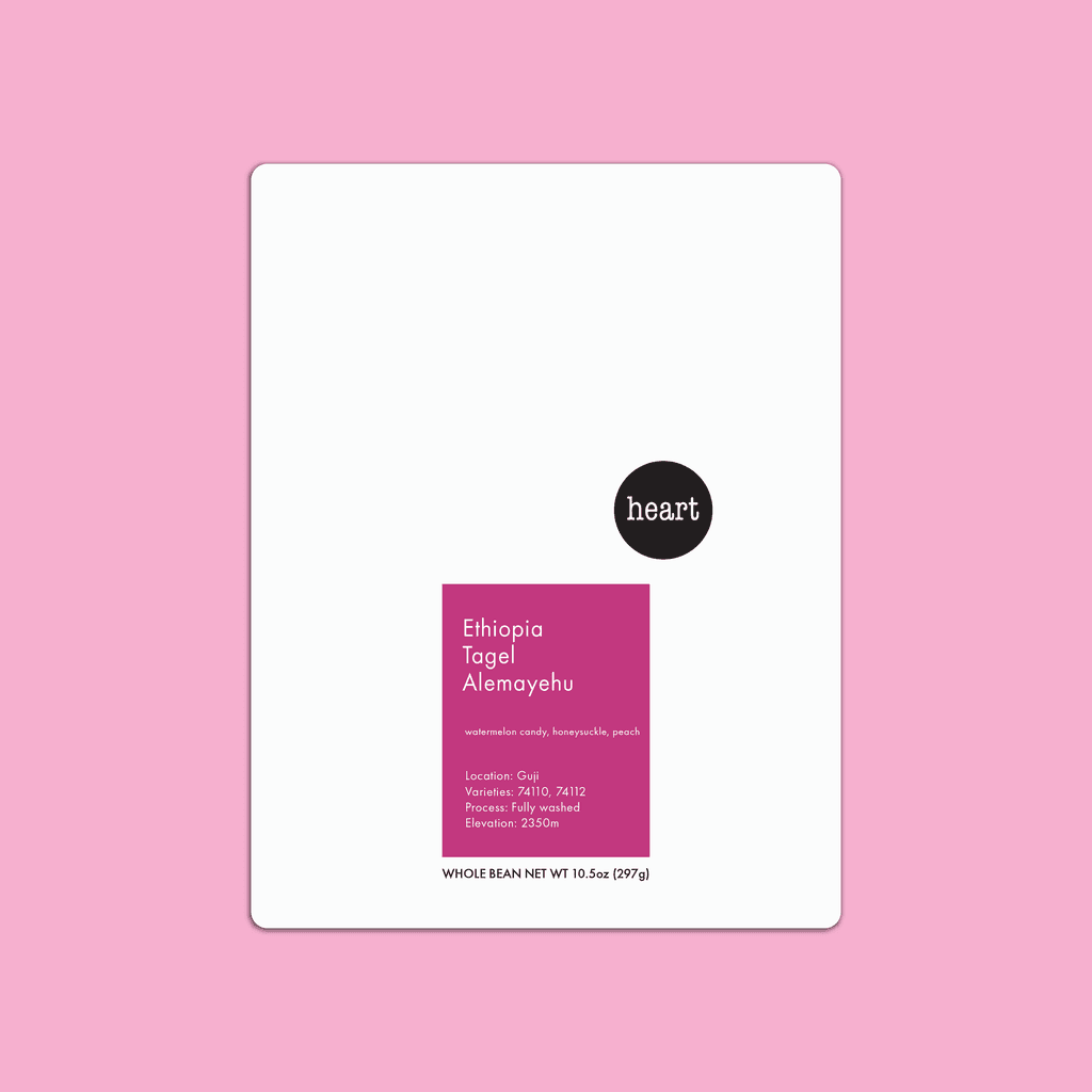 Image of Ethiopia Tagel Alemayehu