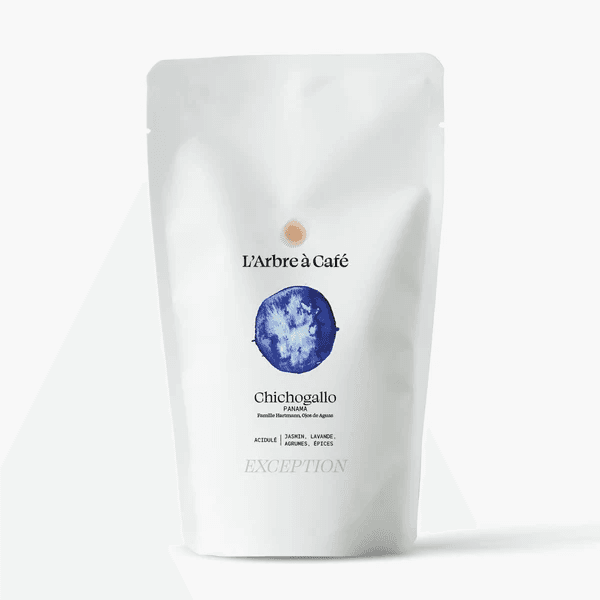 Image of Chichogallo Panama