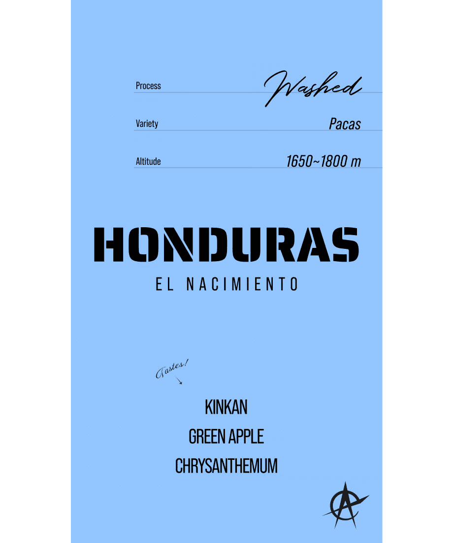 Image of Honduras El Nacimiento, Pacas - Washed