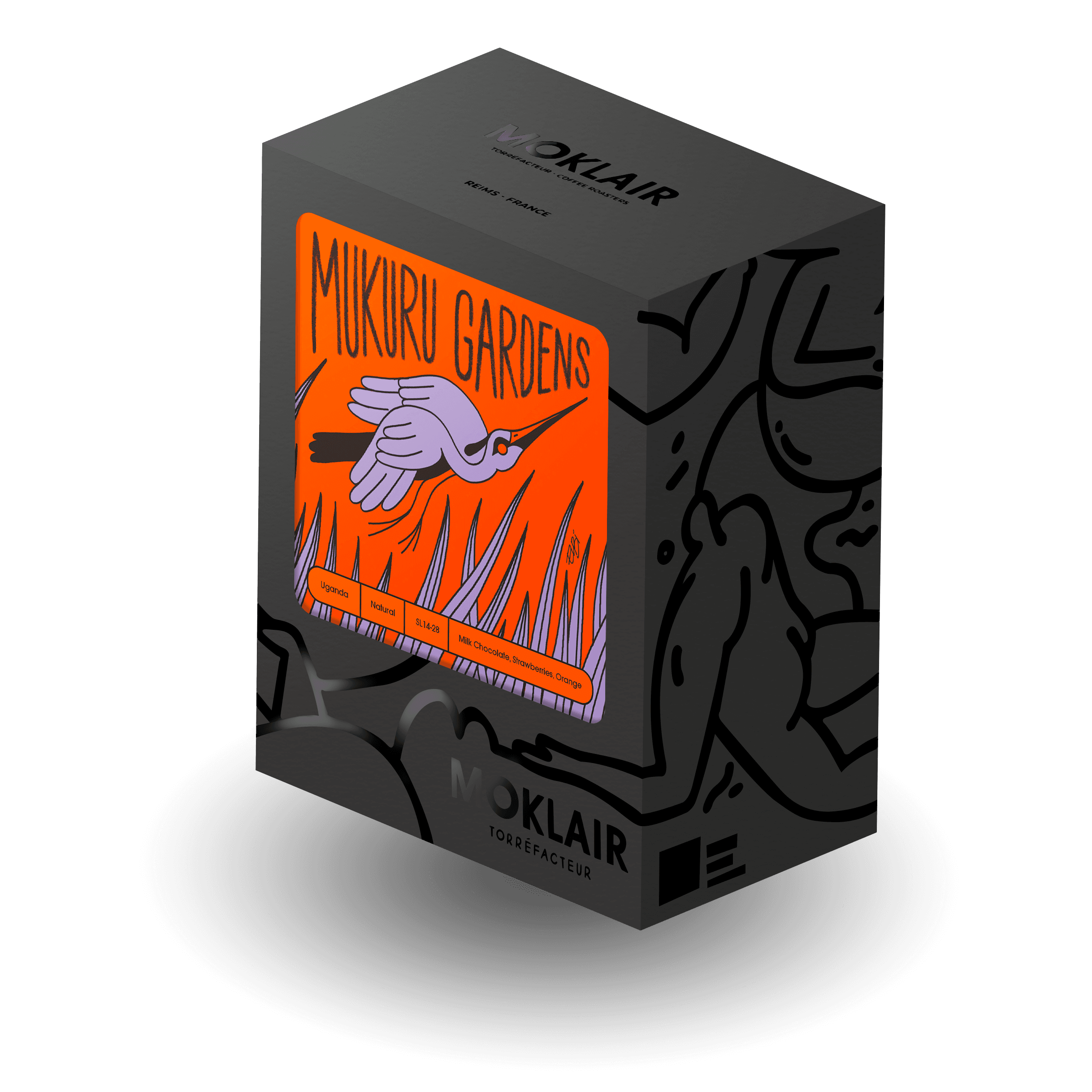 Image of Mukuru Gardens