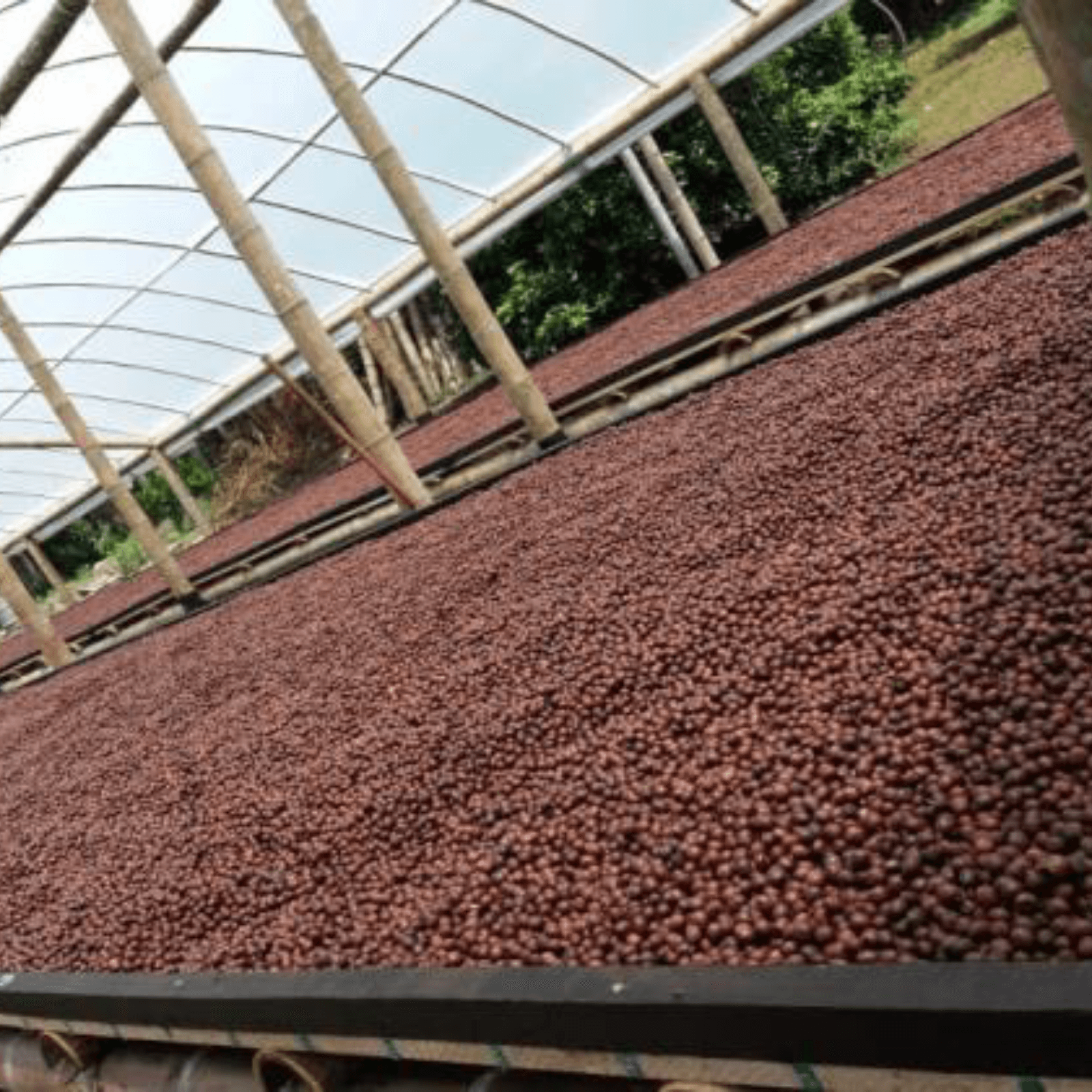 Image of Colombia La Estrella