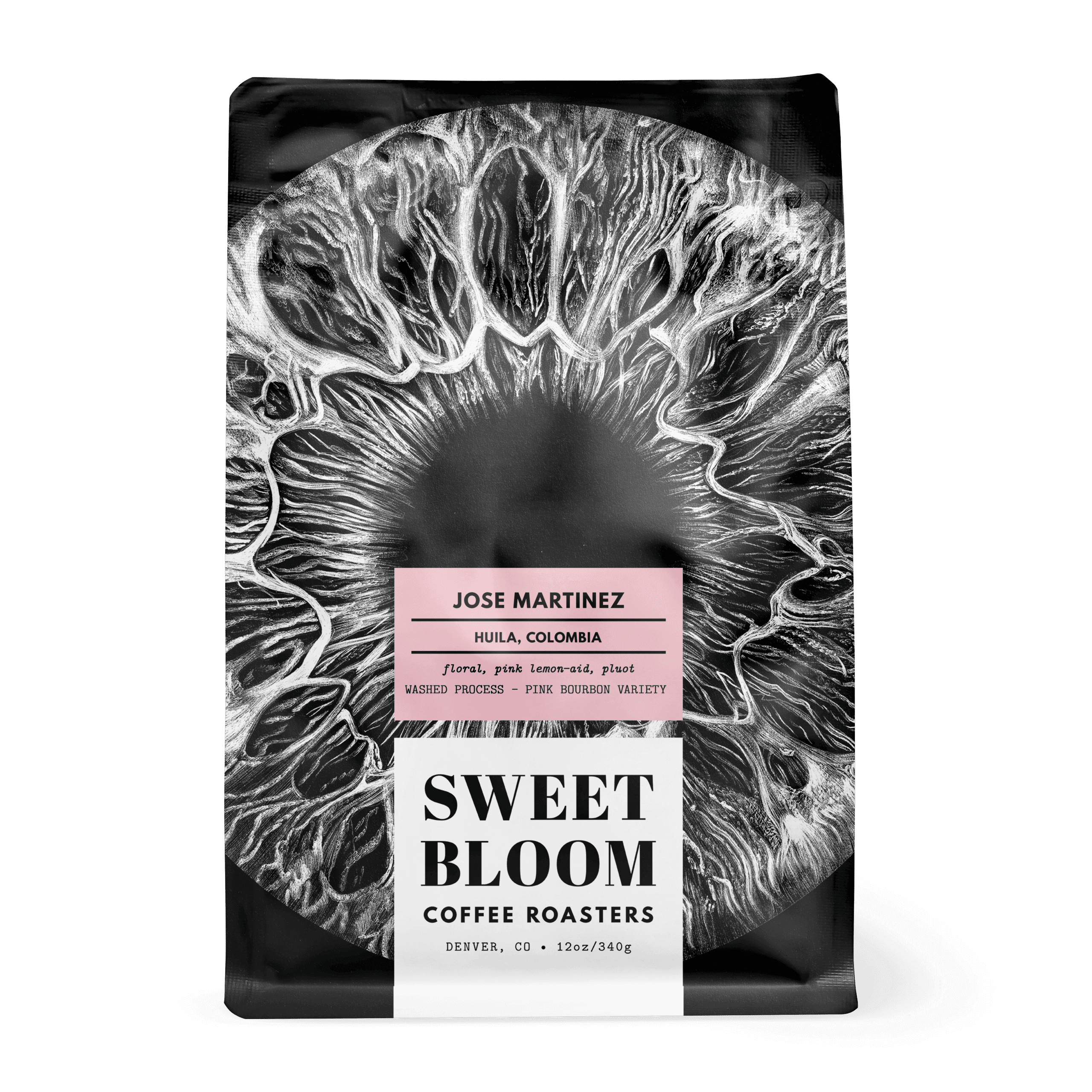 Image of Jose Martinez