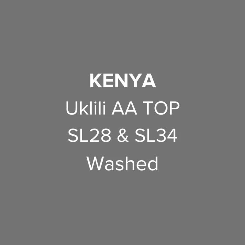 Image of Kenya Nyeri Uklili AA TOP SL28 SL34 Washed