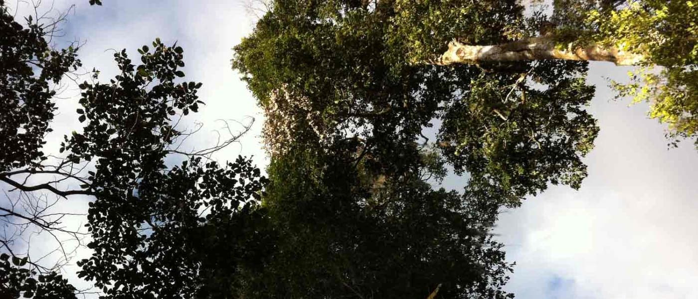 Image of Nicaragua El Suspiro