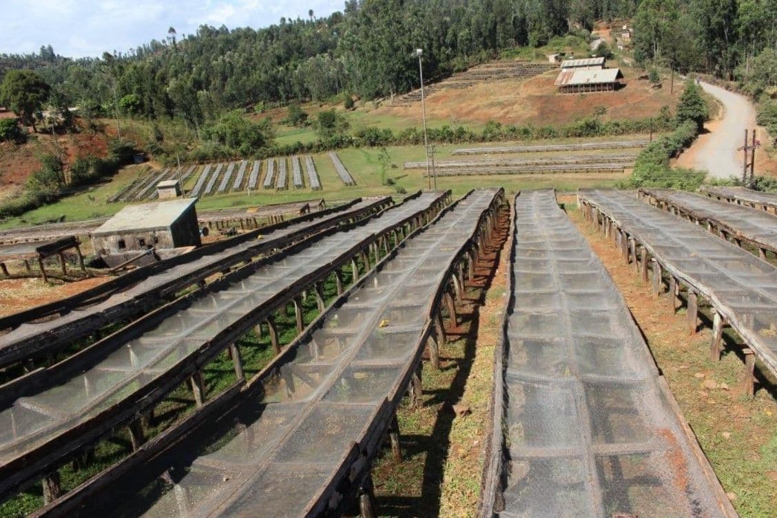 Image of Kenya Riakiberu