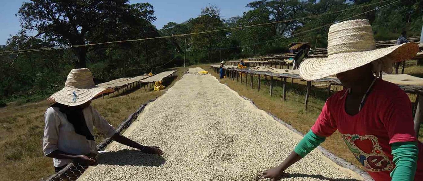 Image of Ethiopia Hawissa