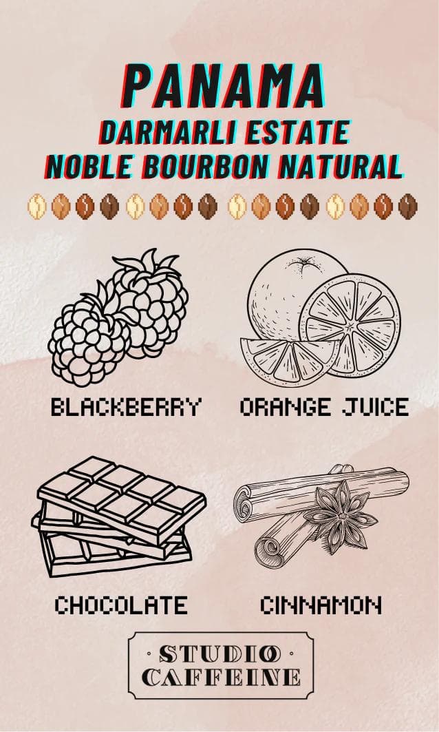 Image of Panama Damarli Estate Noble Bourbon Breeze Natural