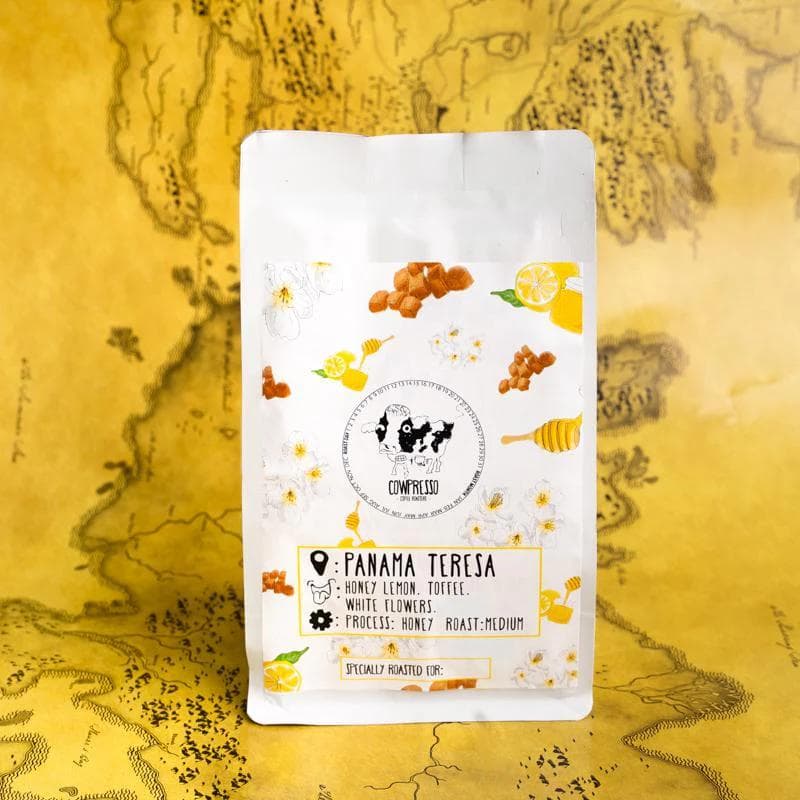 Image of Panama Teresa