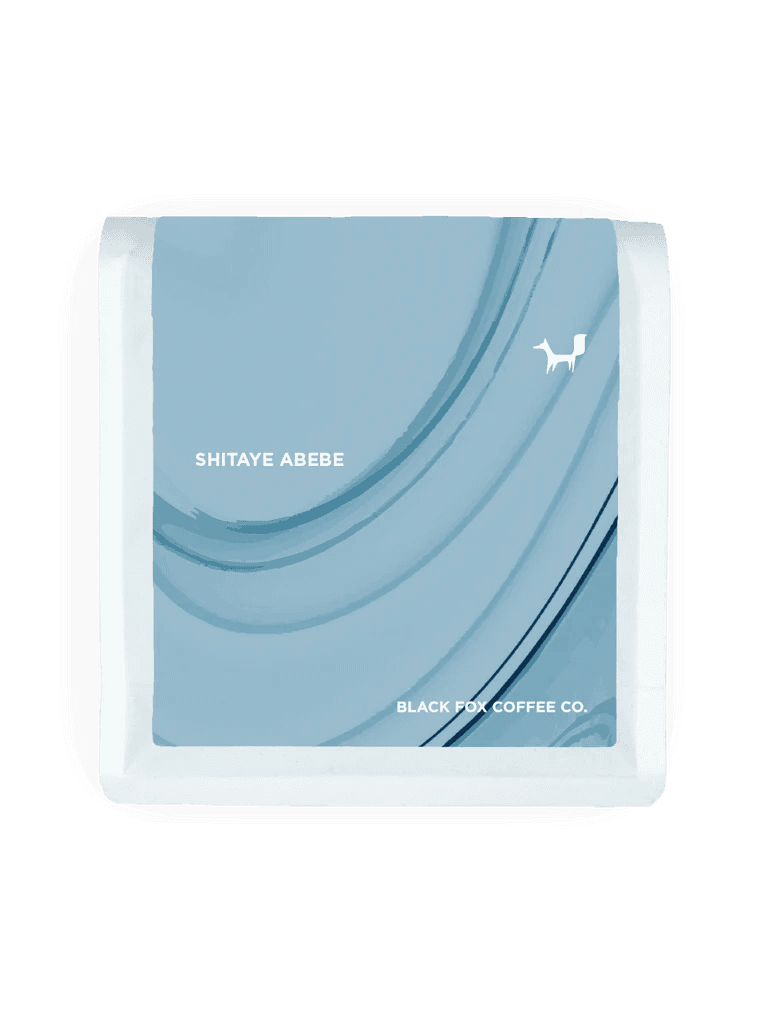 Image of Shitaye Abebe