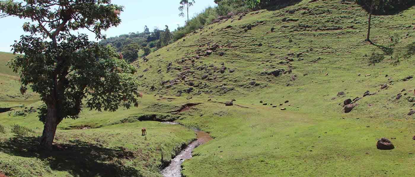 Image of Ethiopia Werka