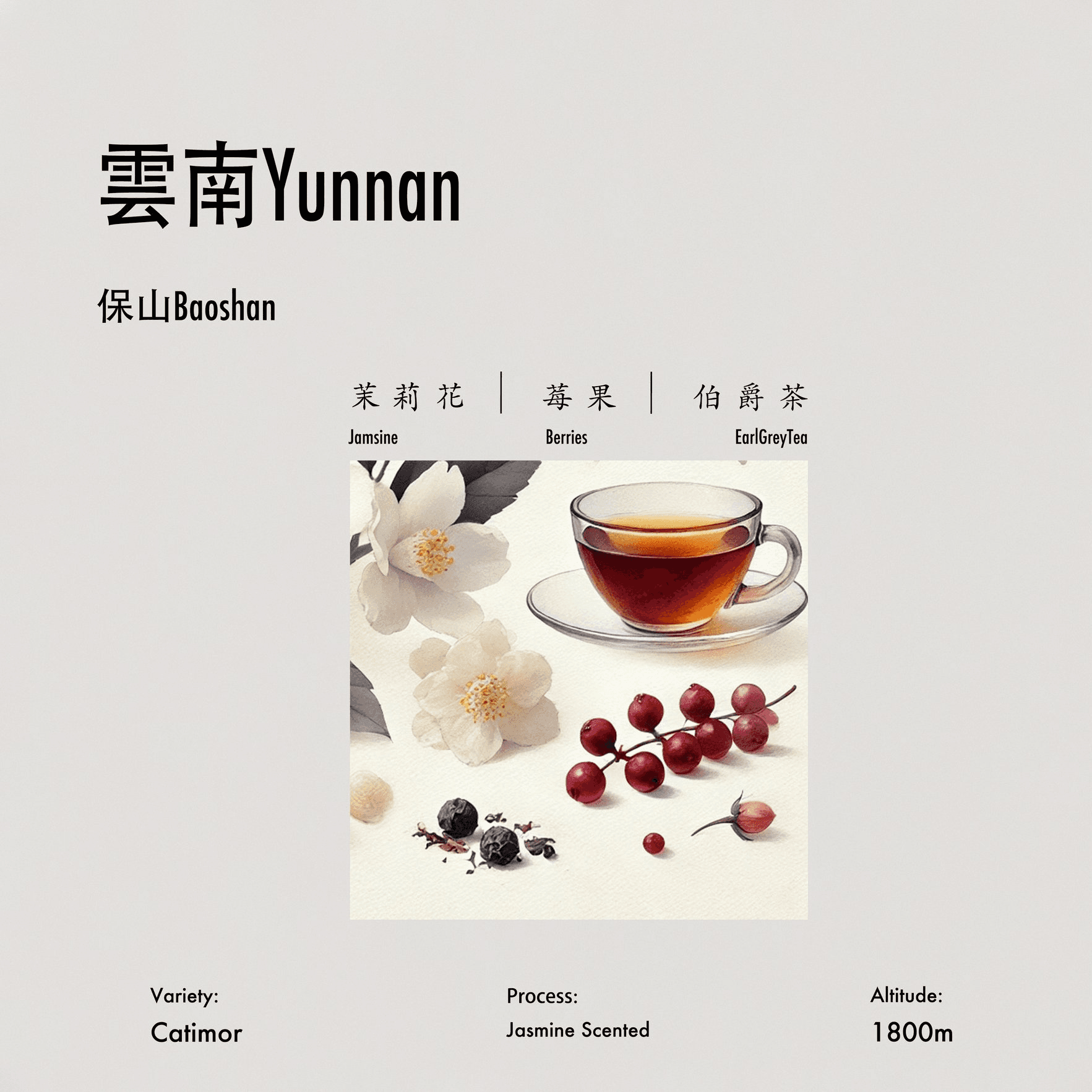 Image of Jasmine Scented Catimor