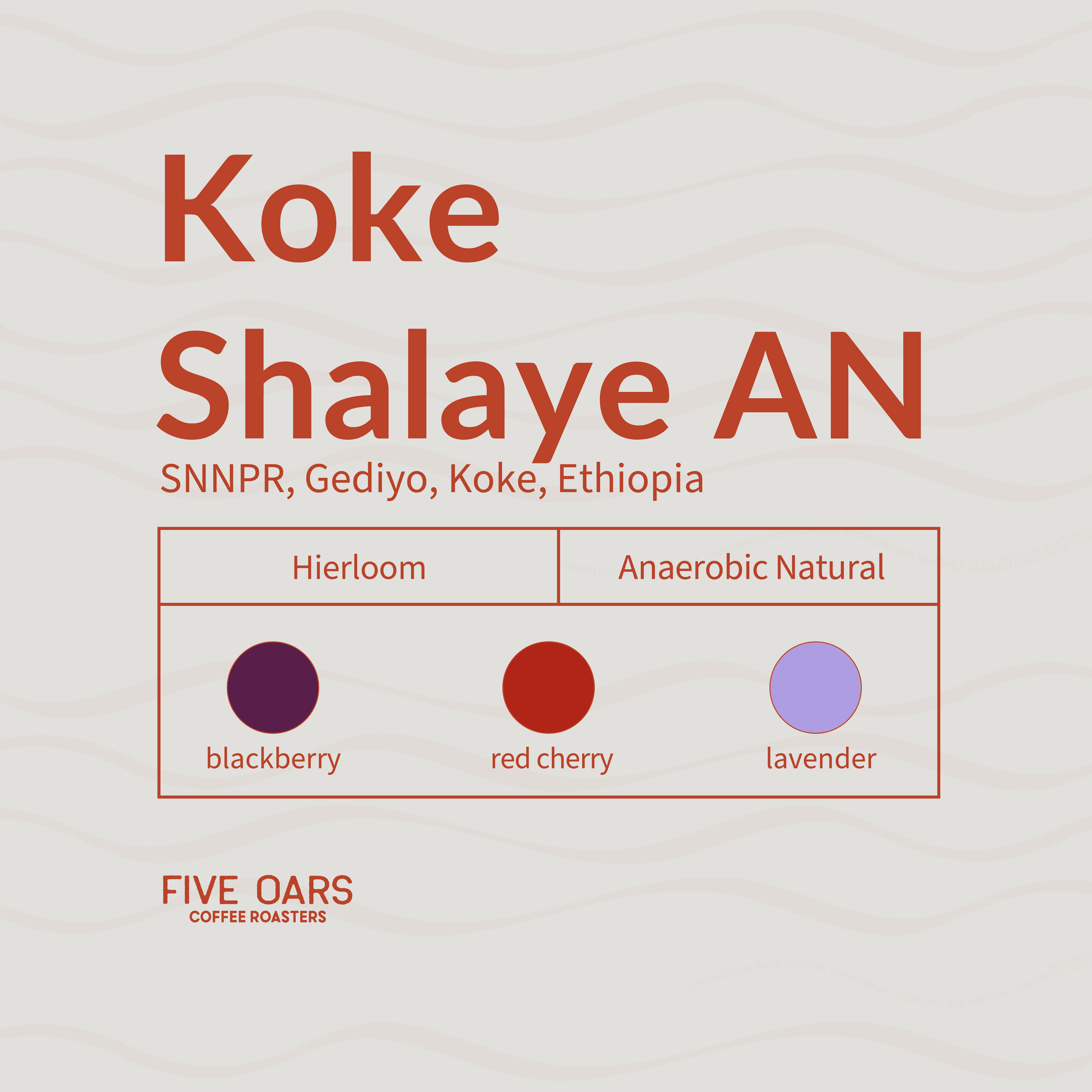 Image of Koke Shalaye AN