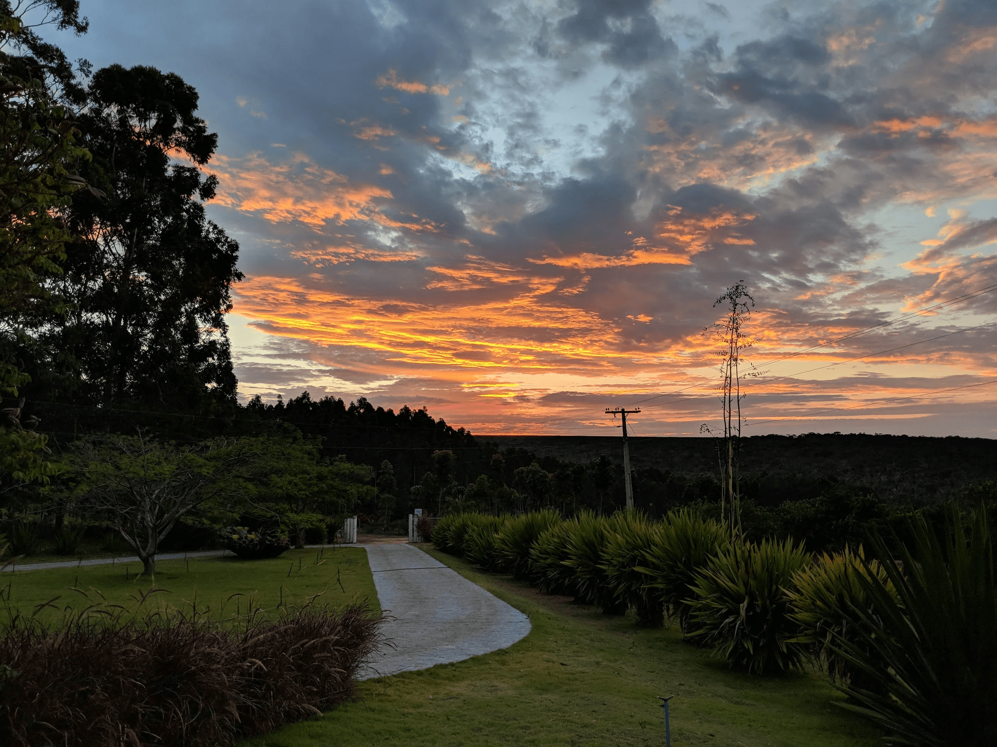 Image of Deluxe Blend