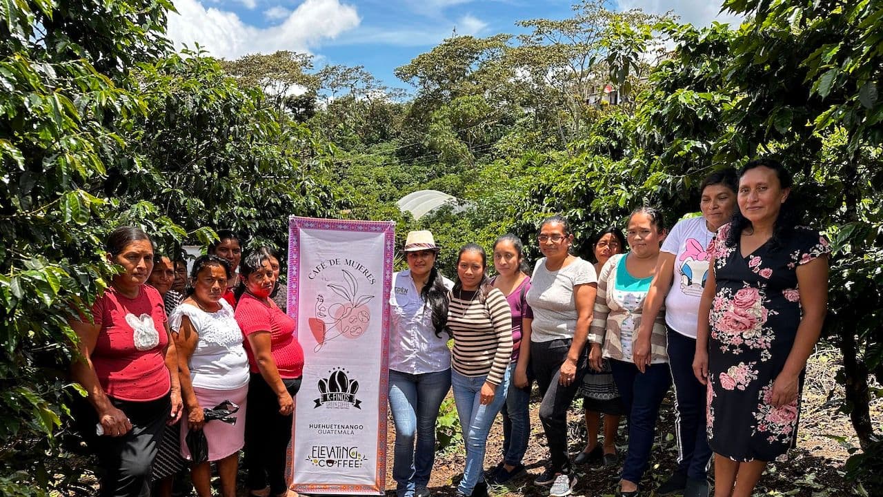 Image of Guatemala Todos Santos & Rwanda Vunga