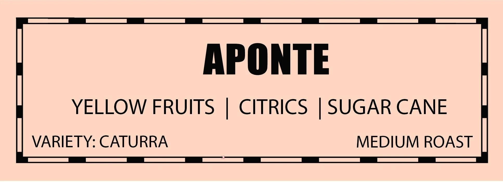Image of Aponte, Single-Origin