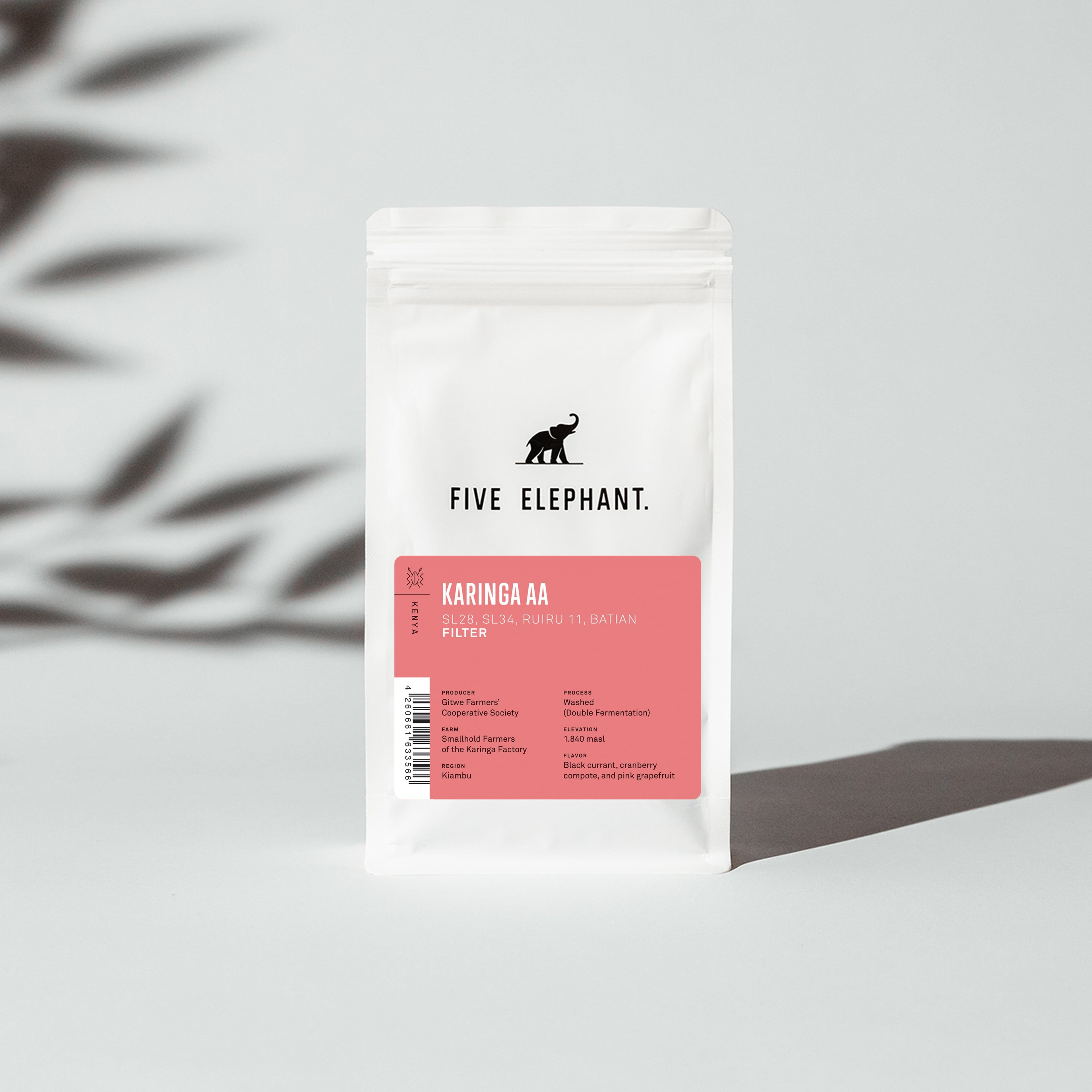 Image of Kenya Karinga AA Filter