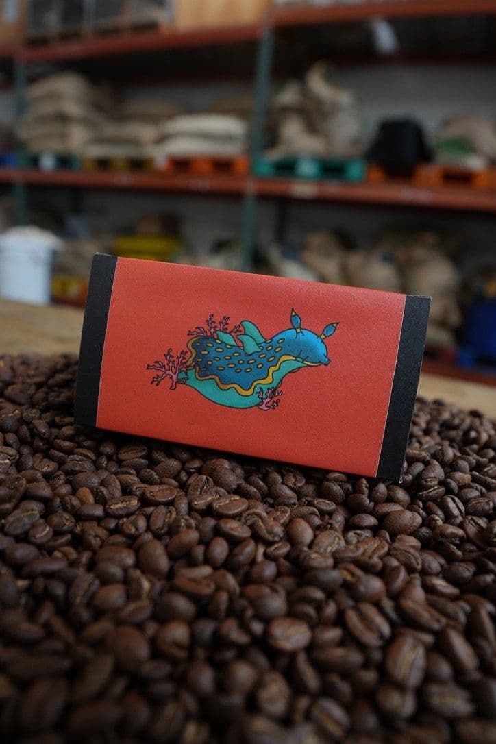 Image of Sea Slug Decaf - Rotating Seasonal Decaf