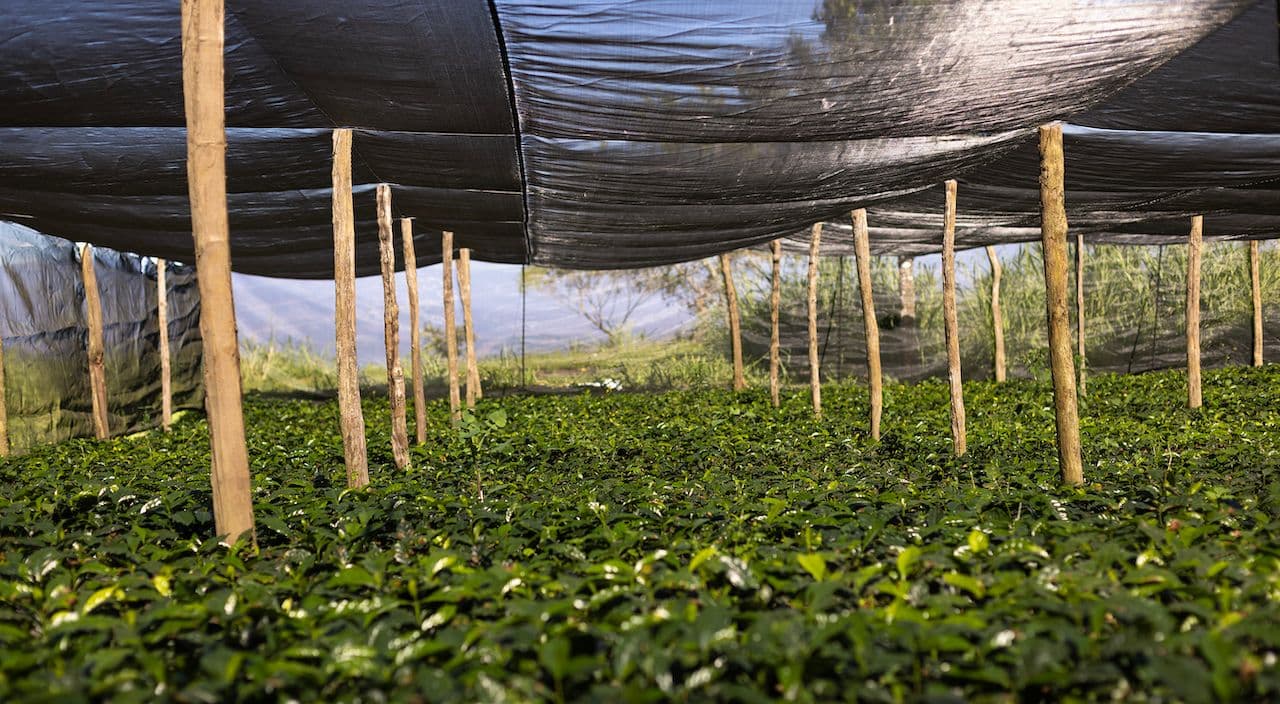 Image of Jose Natividad Hernandez Bañaderos