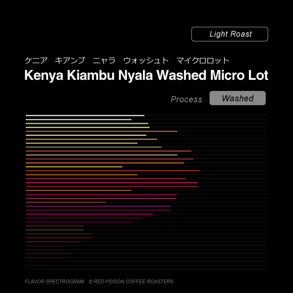 Image of Kenya Kiambu Nyala Washed Micro Lot