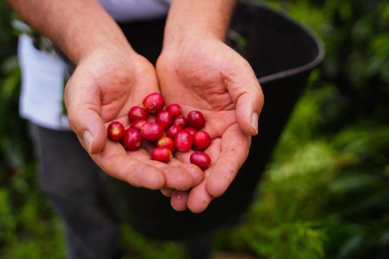 Image of Colombia Villa Pastora