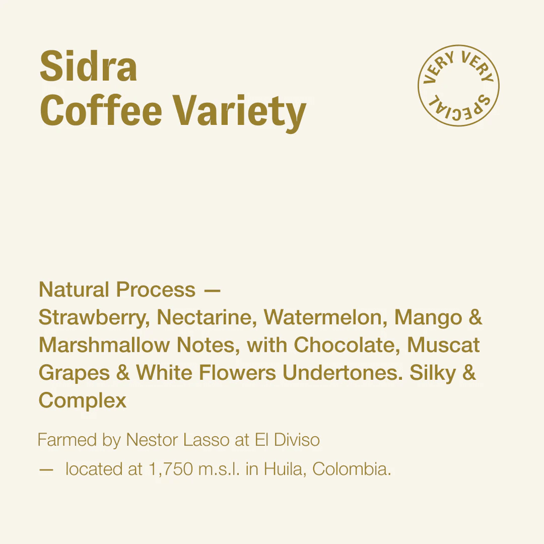 Image of  Sidra Coffee Variety