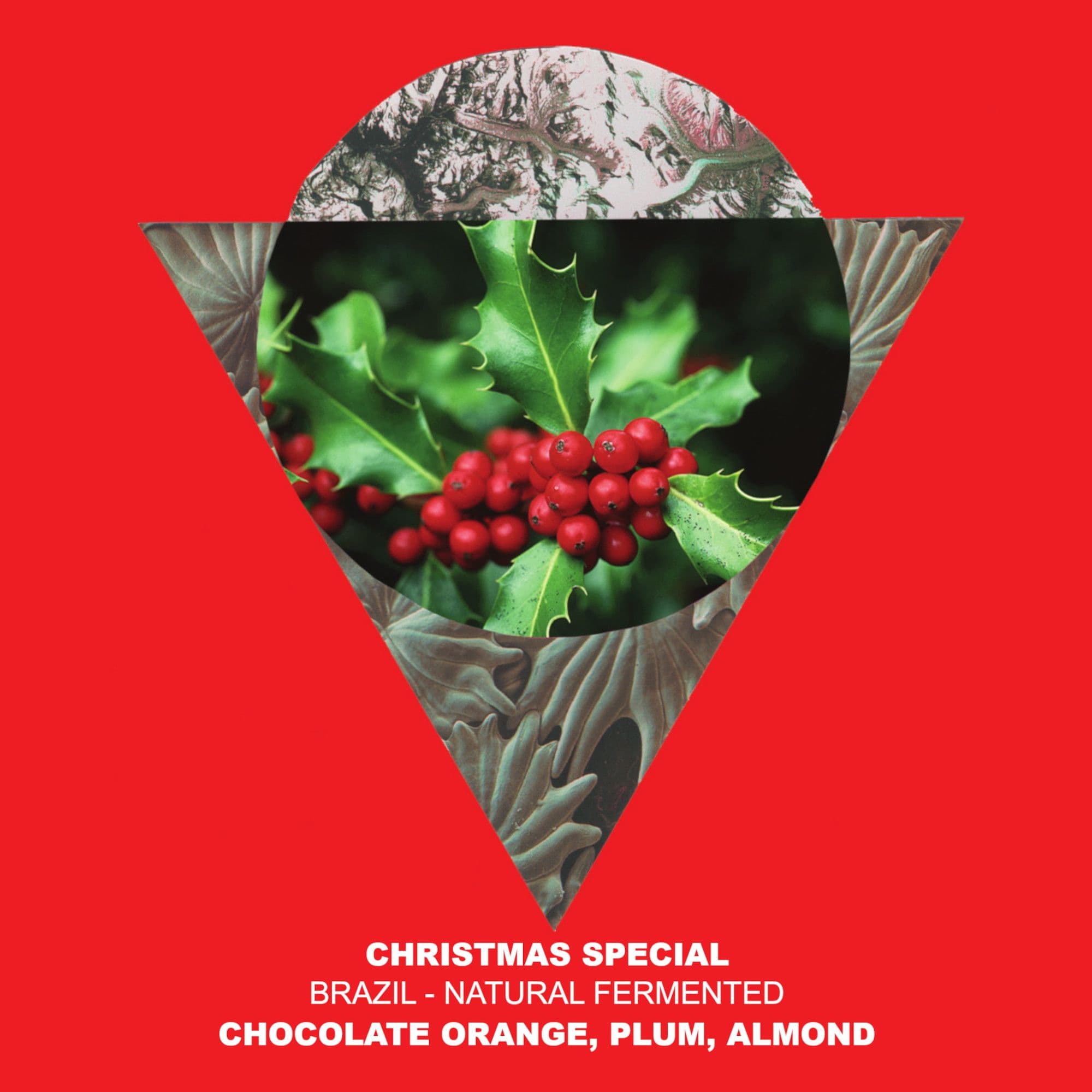 Image of Christmas Special